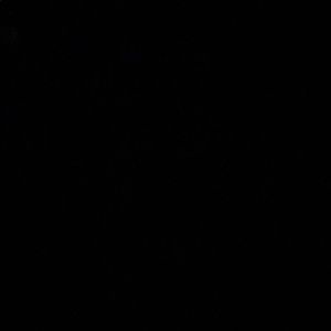 Meet your Posher, Chloe